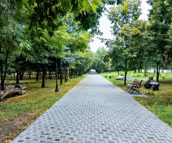 beautiful-walkway-park-with-benches (1) (1) (1) (1)